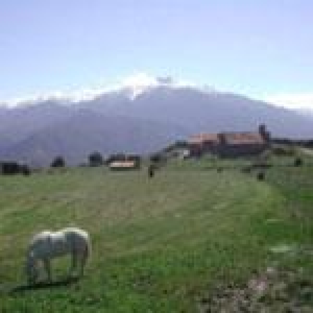 SALAMANDRE, Arboussols - photo 43