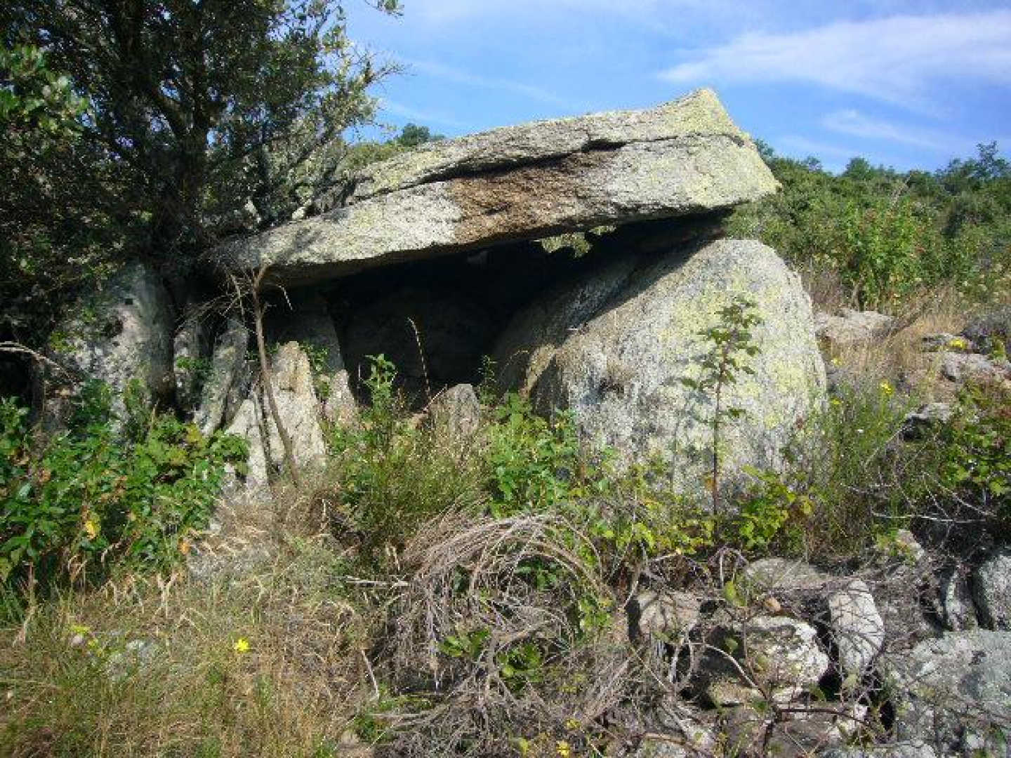SALAMANDRE, Arboussols - photo 74