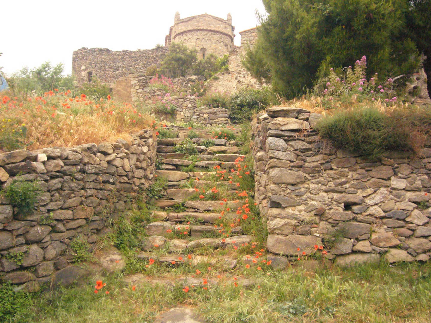 SALAMANDRE, Arboussols - photo 78