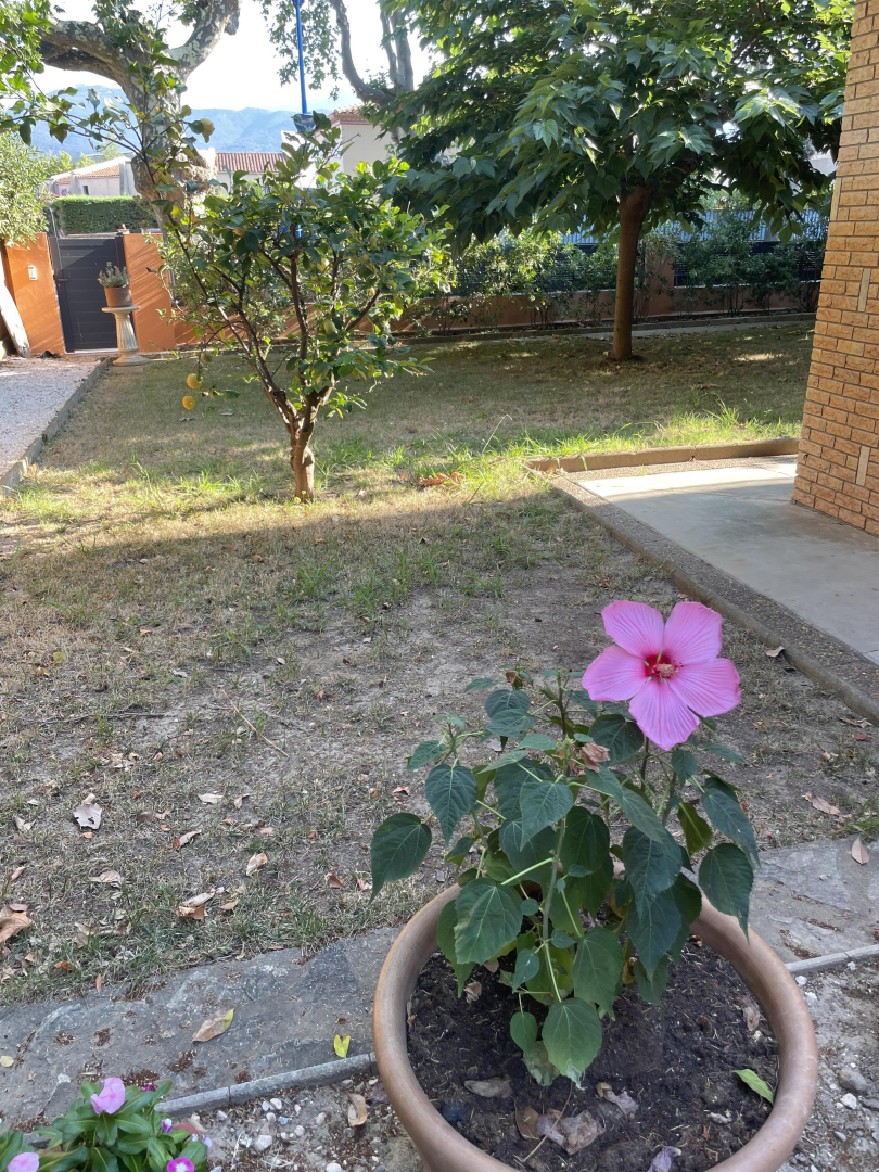 SAPHIR, Argelès-sur-Mer - photo 26