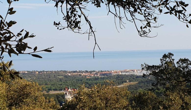 Méditerranée_36