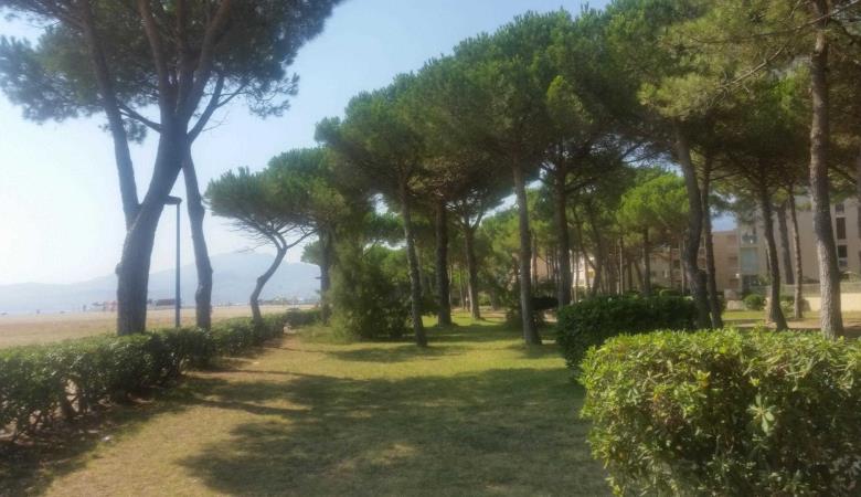 Méditerranée_27