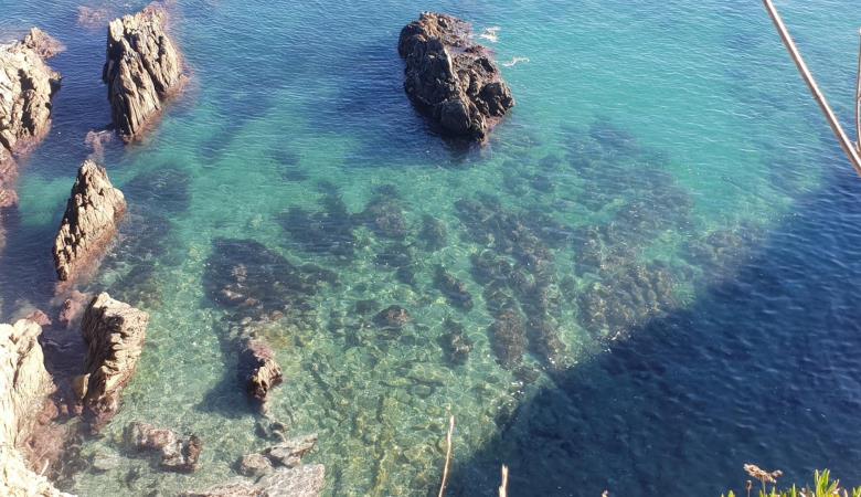 Méditerranée_22