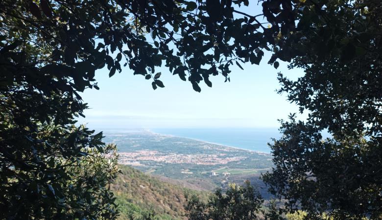 Méditerranée_15