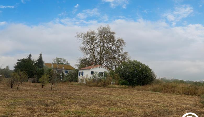 La maison bleue_23