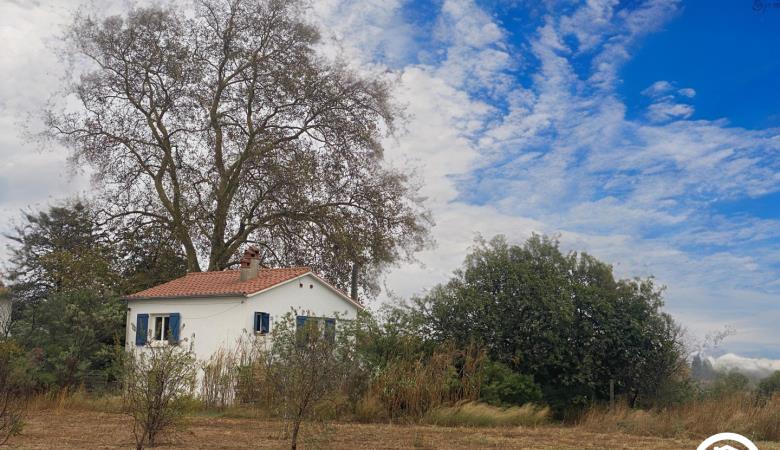 La maison bleue_9