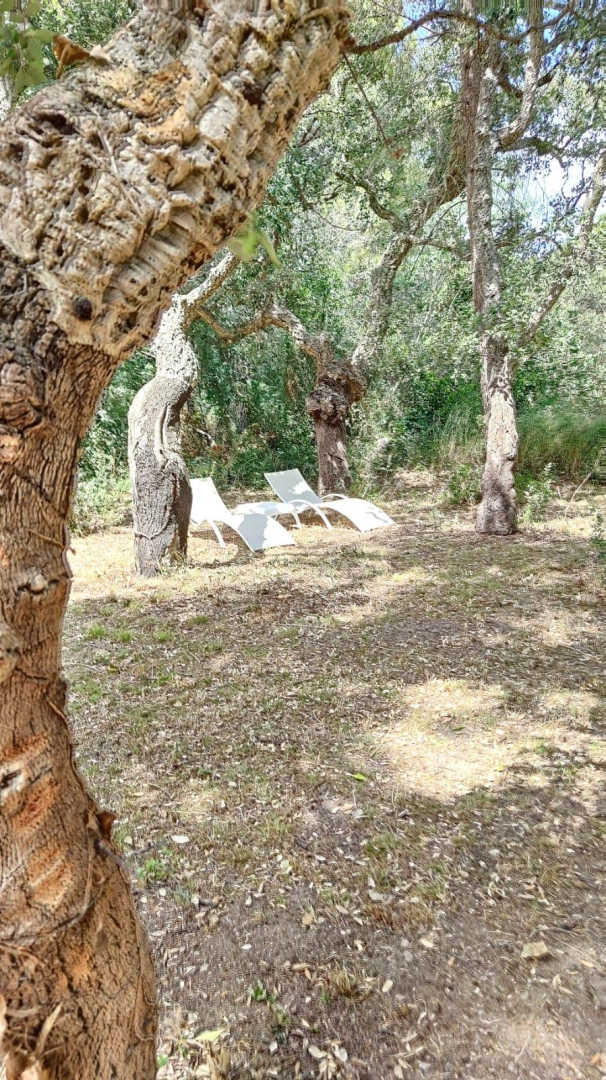 LA MASSANE, Argelès-sur-Mer - photo 27