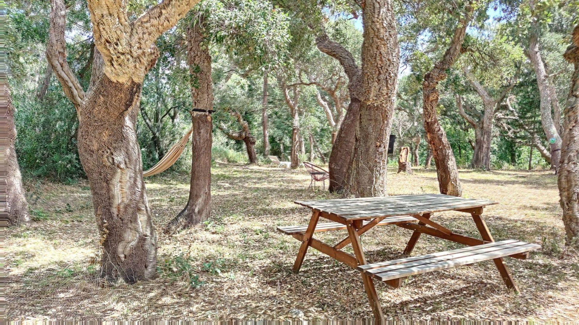 LA MASSANE, Argelès-sur-Mer - photo 32