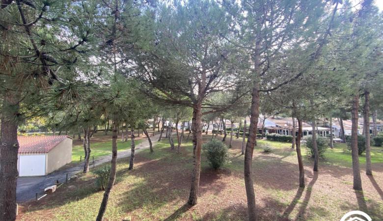 Cyel Catalan_16