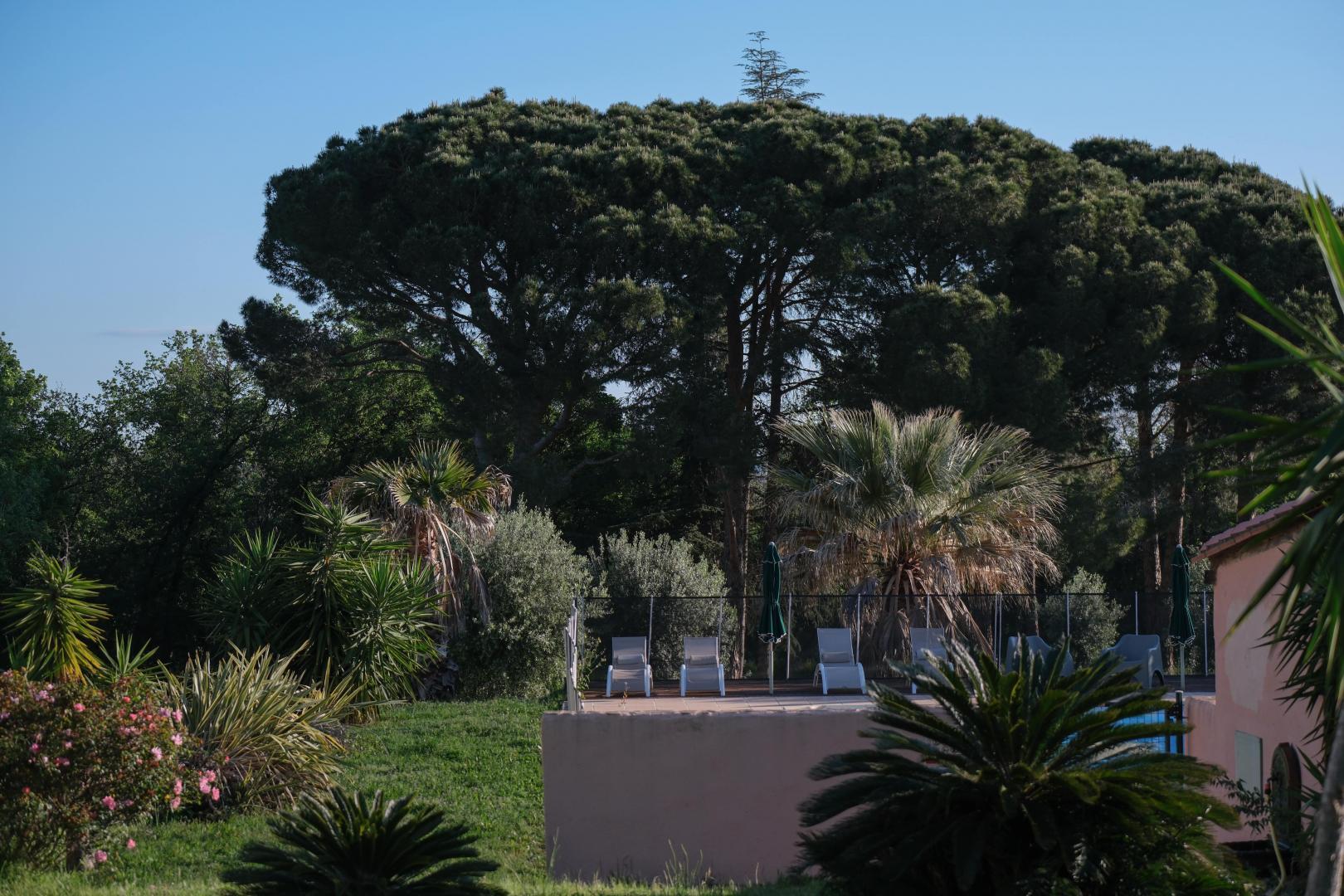 TERRA, Argelès-sur-Mer - photo 40