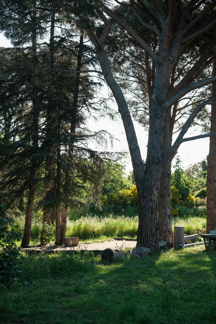 TERRA, Argelès-sur-Mer - photo 36