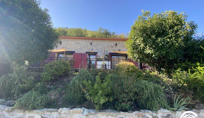 Les Deux Sources - Agapanthe_32