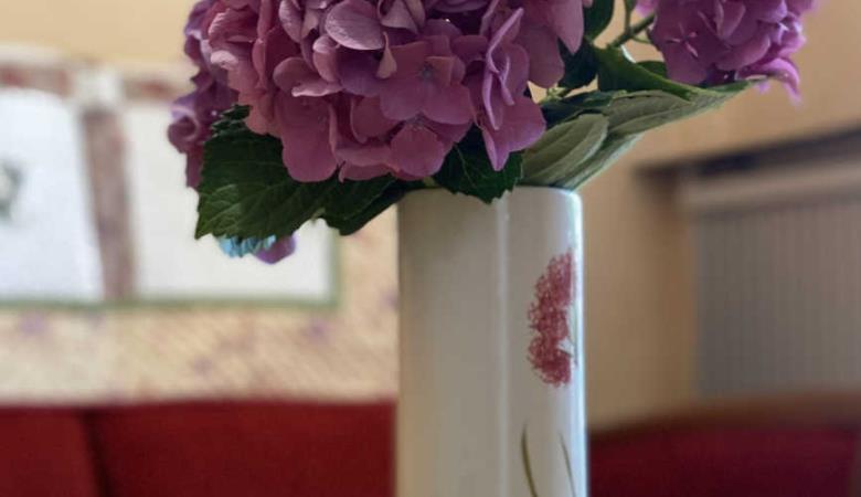Hortensias_6