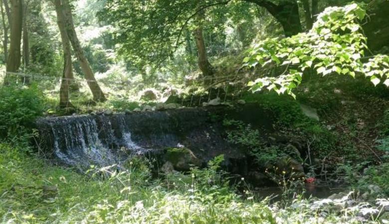 Les Deux Sources - Le Mas_36