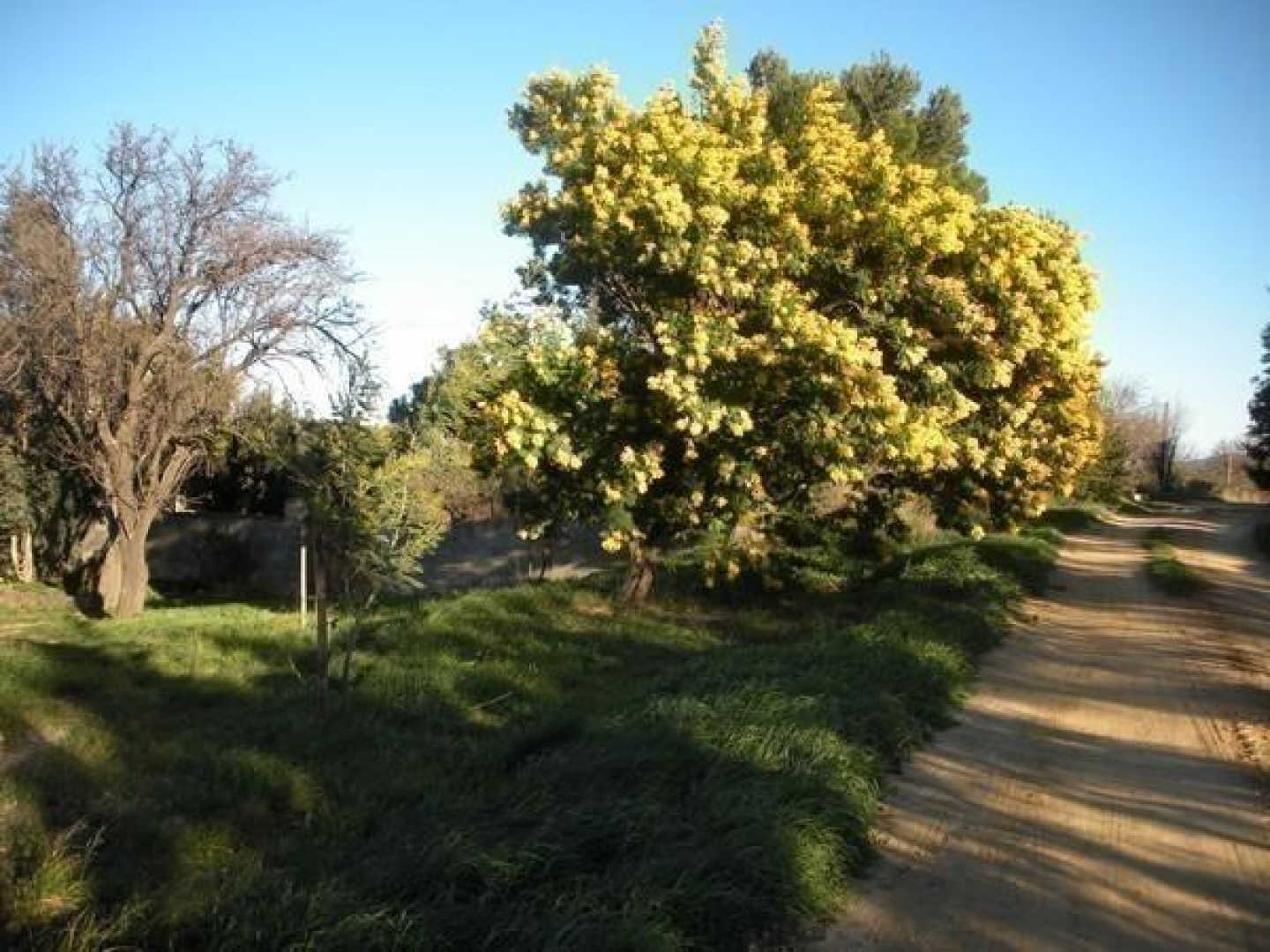 66G101524 c5c4b9a0adea49278c099eb723951bda