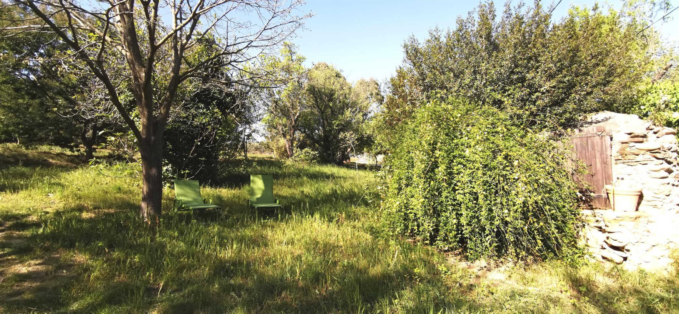 66G101524 cf5e0cfd43c64837b0e21a46a563ddf4