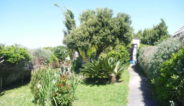 Gîte ô bout de l'île_25