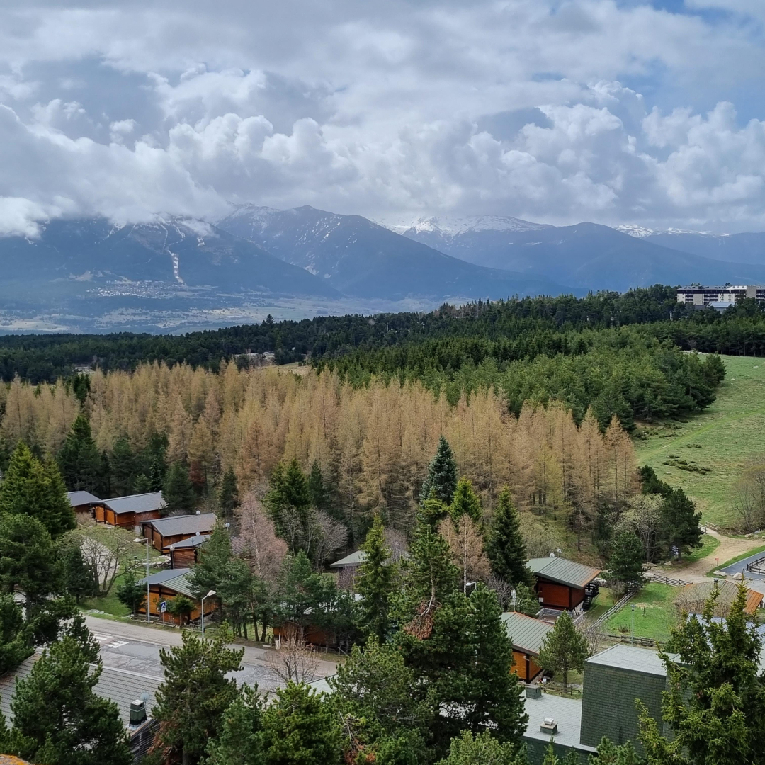 LE PANORAMIC, Bolquère - photo 44