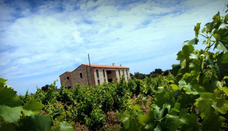 Le gîte du Mas Cambel_20