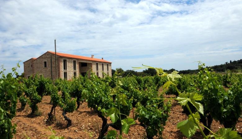 Le gîte du Mas Cambel_27