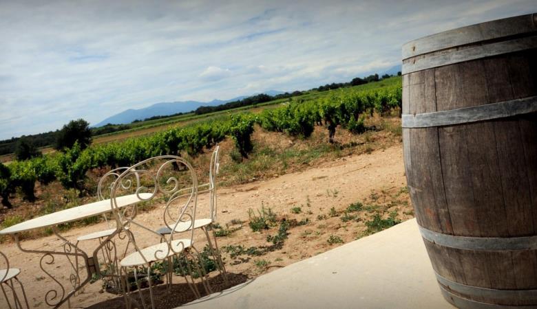 Le gîte du Mas Cambel_28