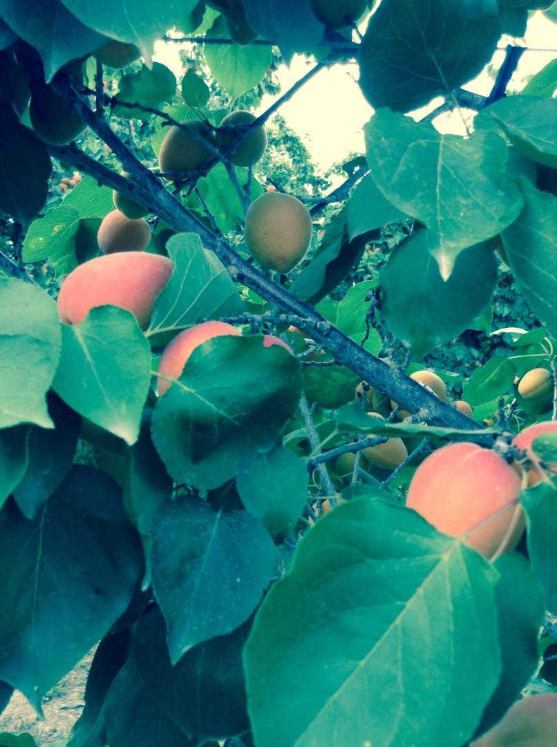 66G103301 2935c0b32b994e6593db810b4743539f