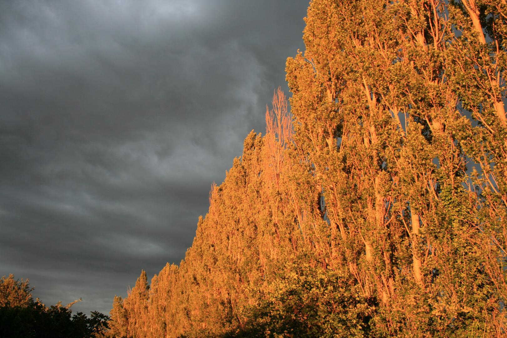 66G103301 ff3848a4660b4e33a268501b6f1c9c4b