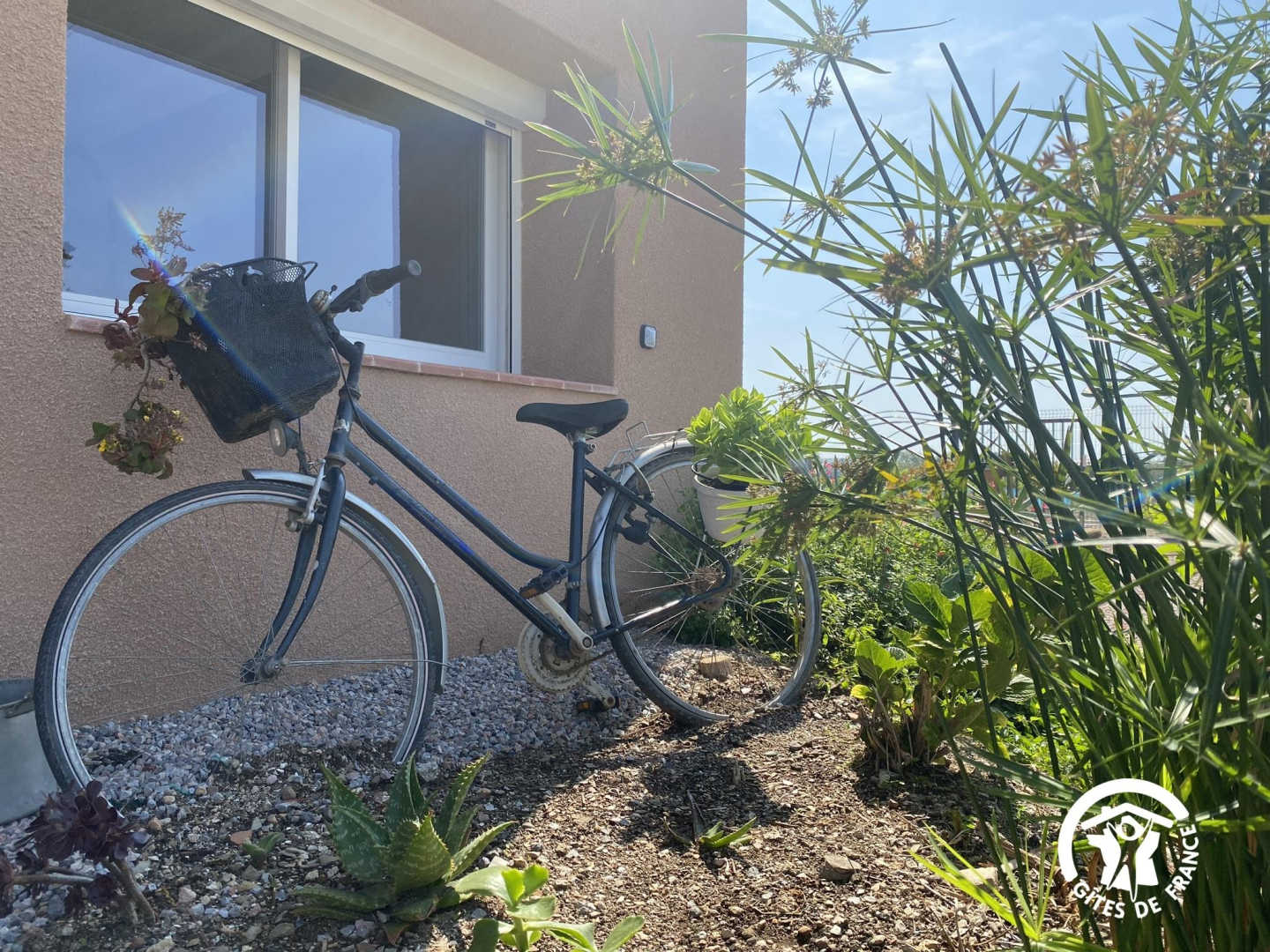 66G103304 c0692046198641bb8d4f7468e16f221e