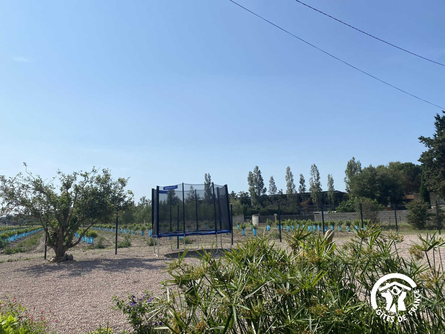 66G103304 e2a144db76aa4e449d9508430360d8e8