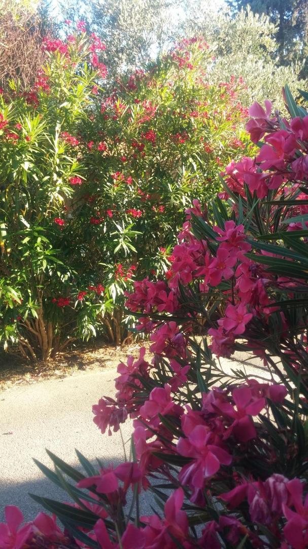 66G103305 5a1a9f635074417096ff58fcbd5c2acd