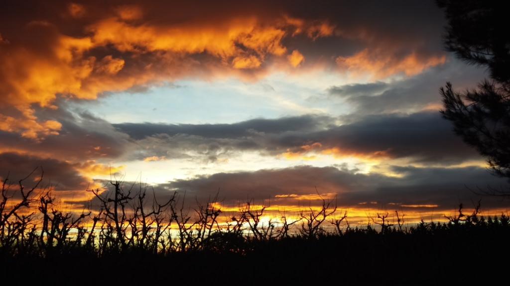 66G103305 740cef5348384eebac8f551ccd69a6f2