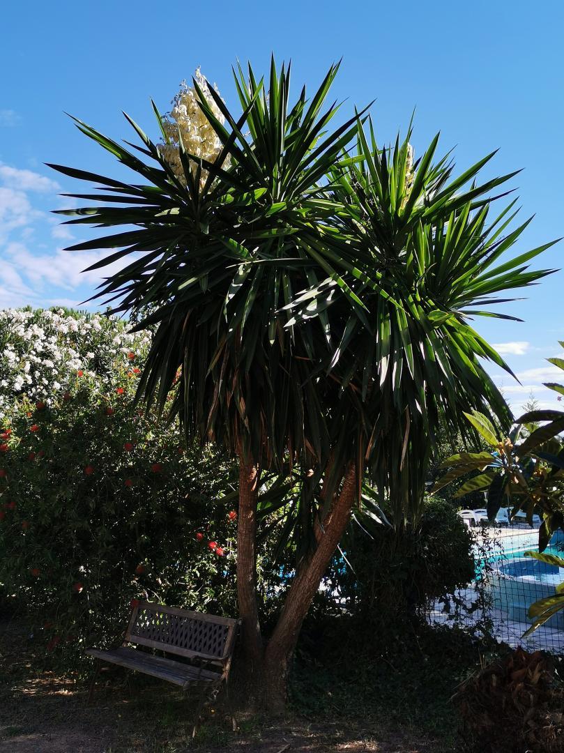 66G103305 c5a828c2b5124e3390b2f30b3889d438