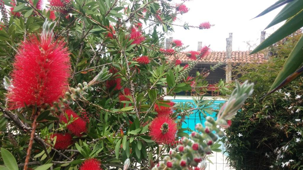 66G103305 cd2887ad7ed64c599fce9b1d8199716e