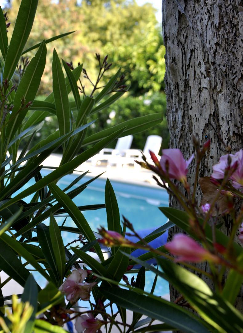 66G103305 fefa8a308b27486190f15225b320703c