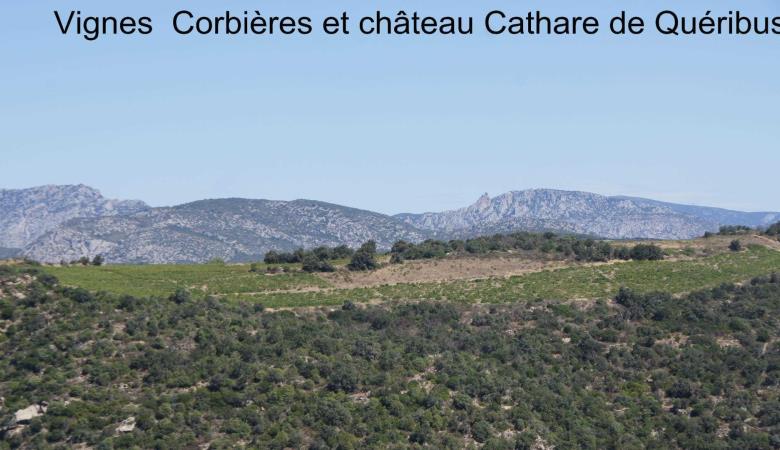 Gite de la borde_26