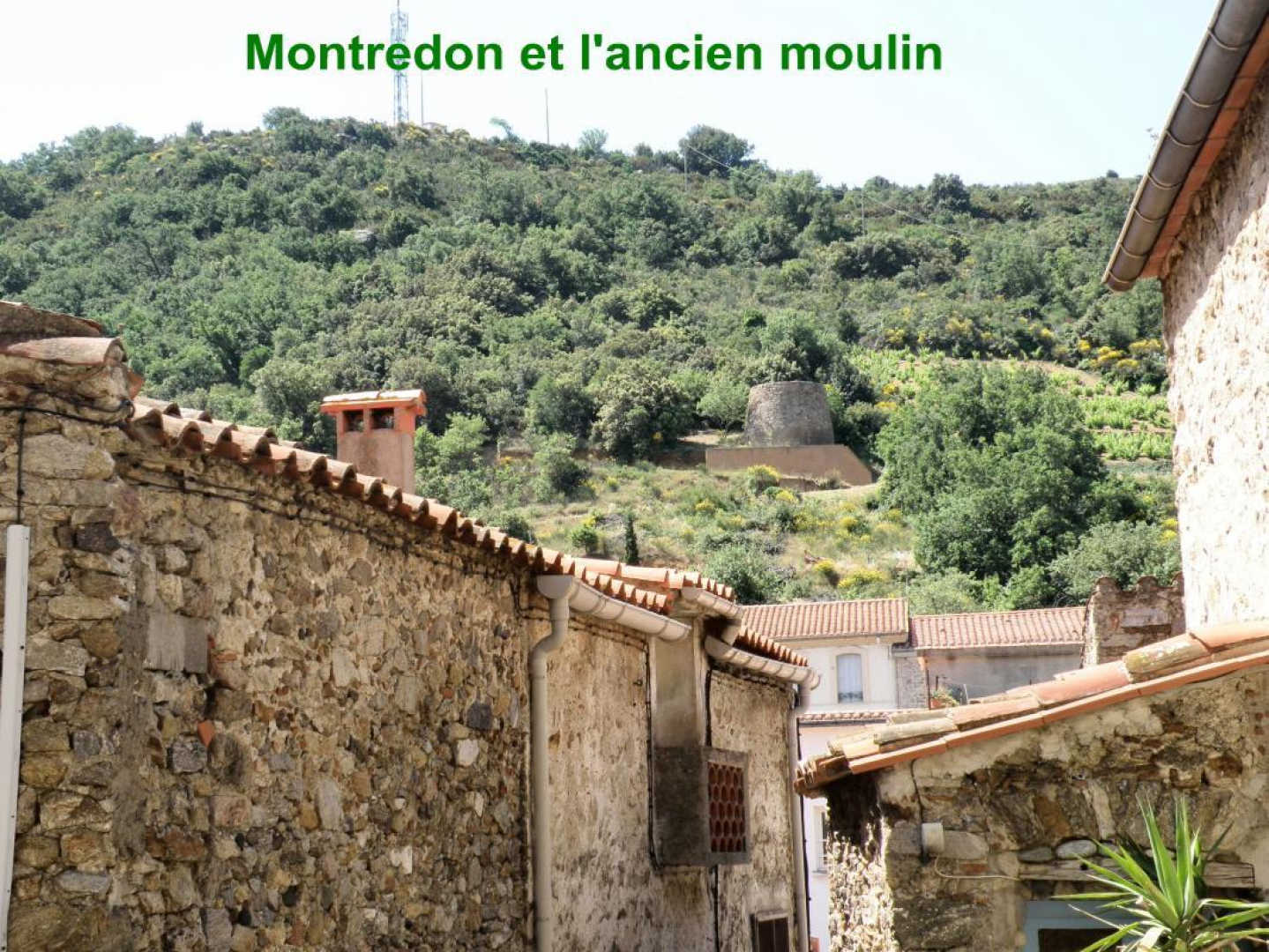GITE DE LA BORDE, Caramany - photo 46