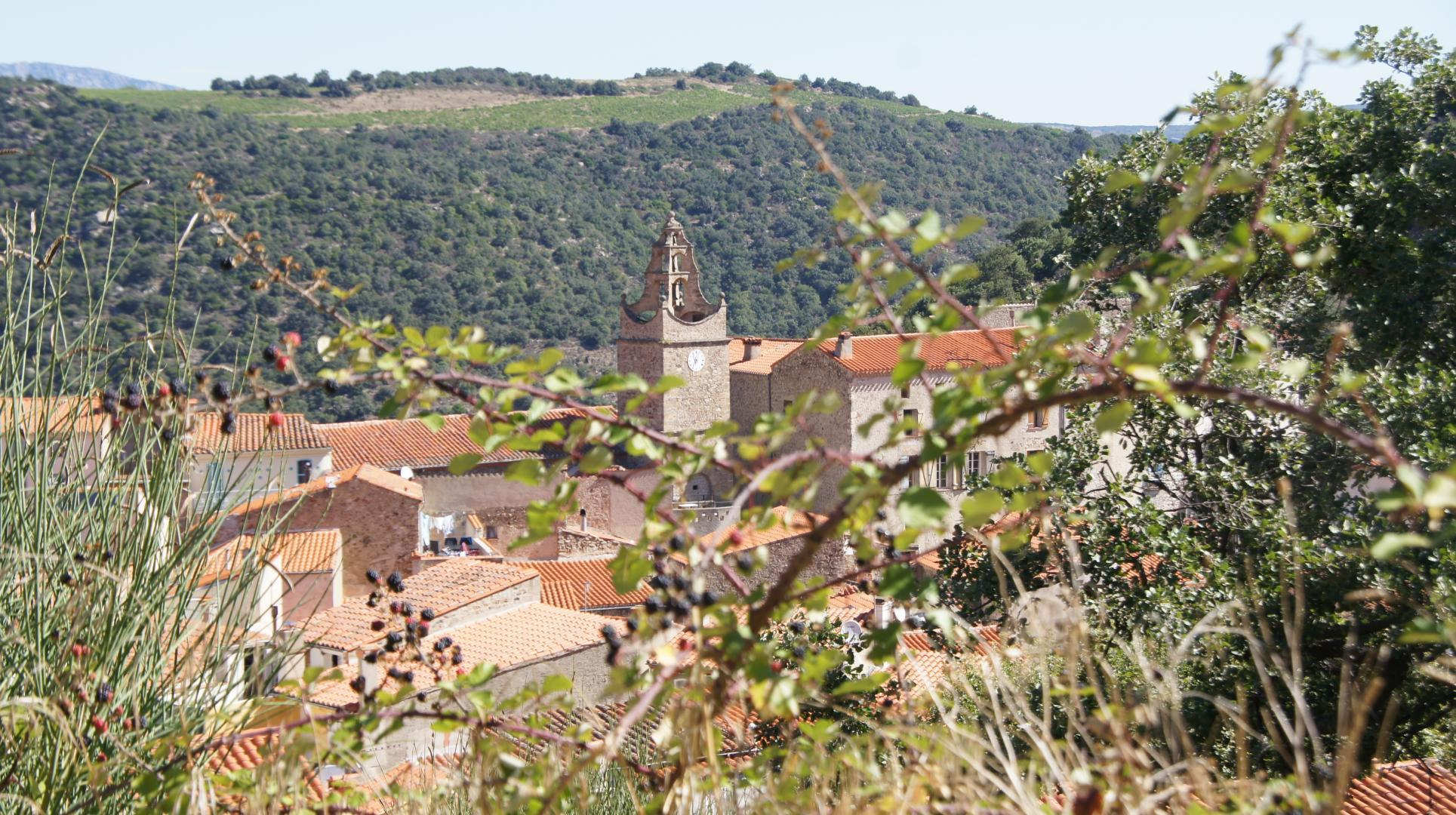 GITE DE LA BORDE, Caramany - photo 39