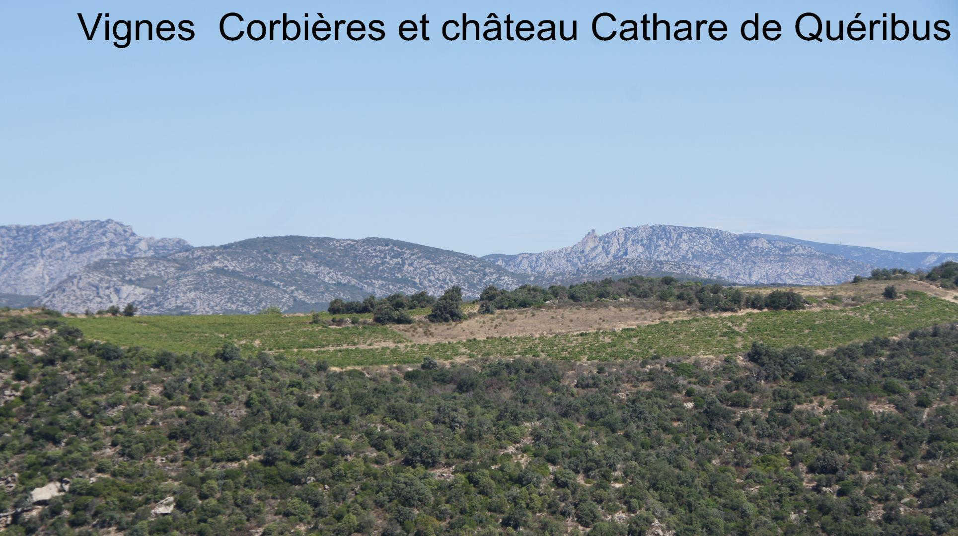 GITE DE LA BORDE, Caramany - photo 31