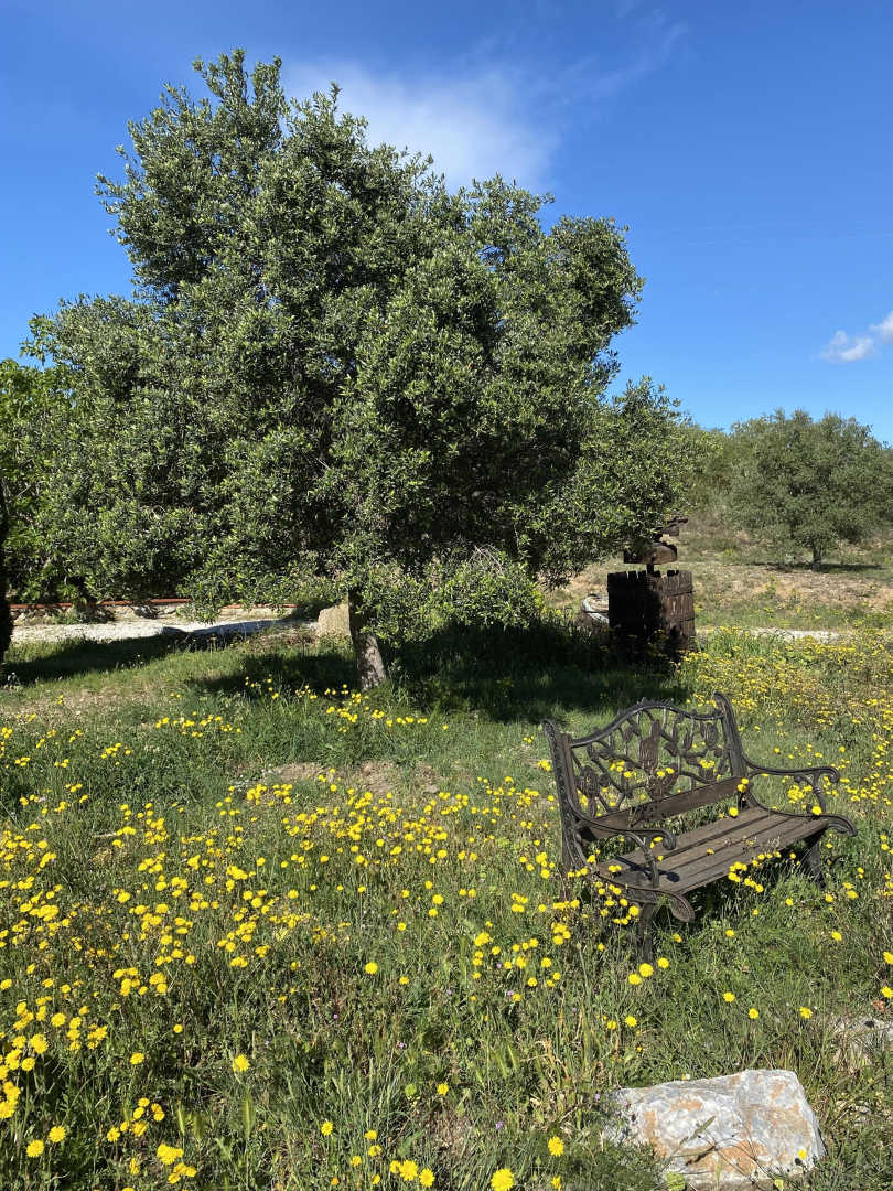 Nature sauvage_26