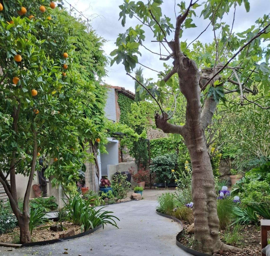 GÎTE LES VINYES — photo 3