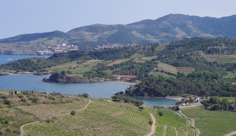 Cap cerbere_21