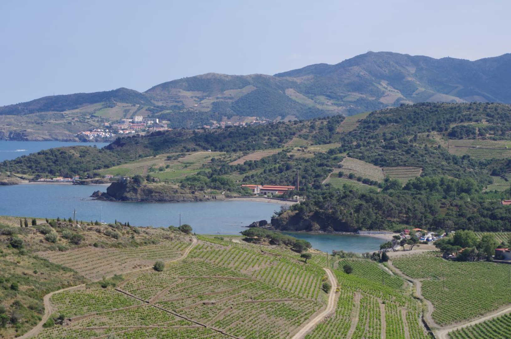 CAP CERBERE, Cerbère - photo 52