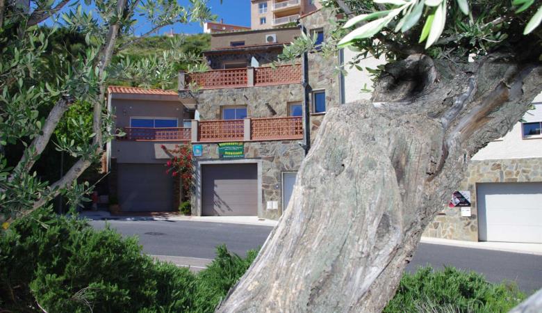 Cap cerbere_7