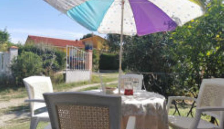 LE PALMIER_1 LE PALMIER_1