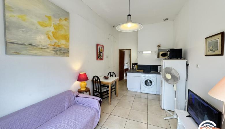 LE PALMIER_3 LE PALMIER_3