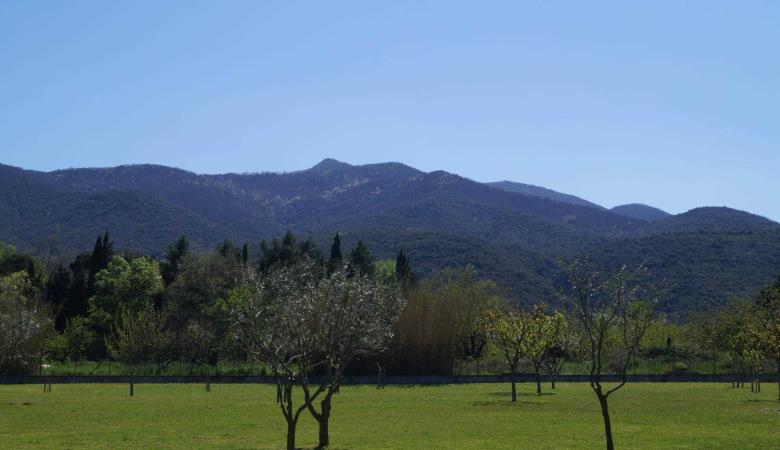 Les Pyrénées_15