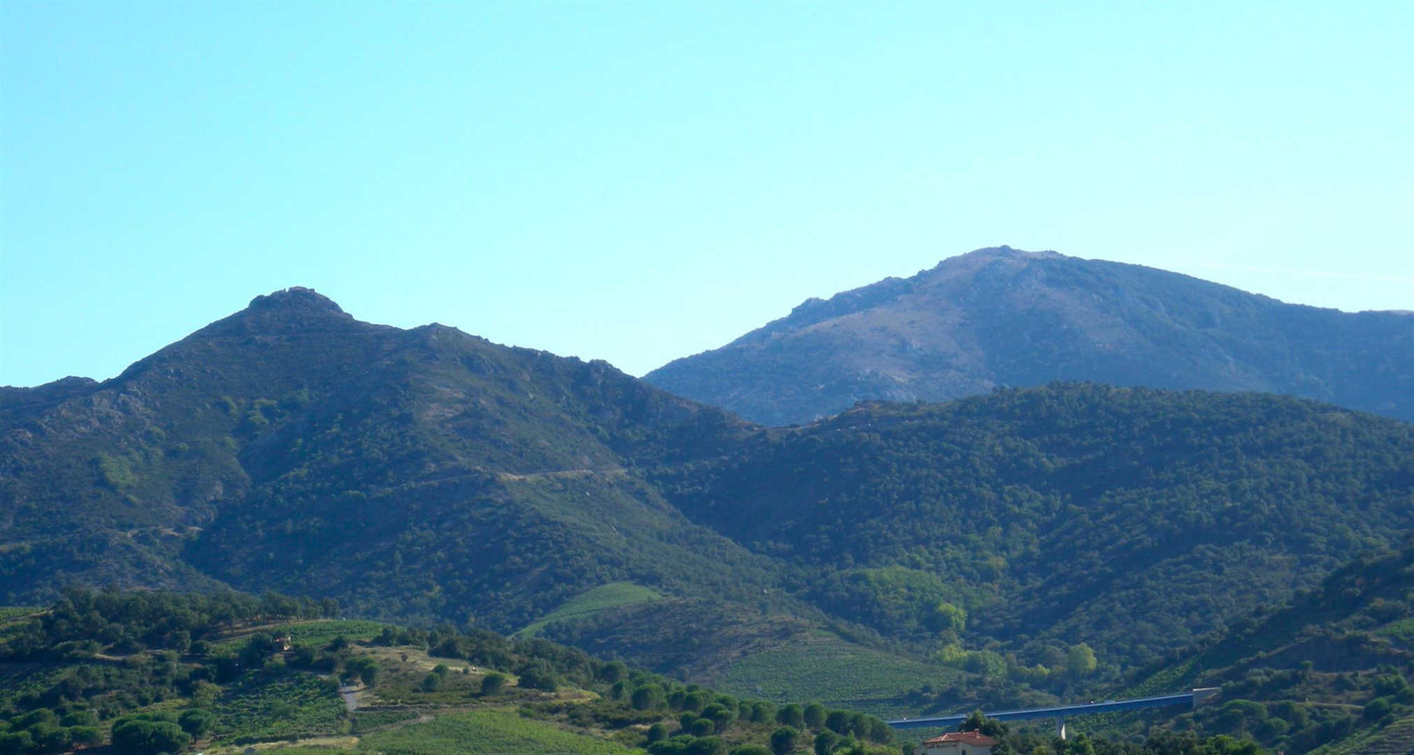 LA TERRASSE, Collioure - photo 23