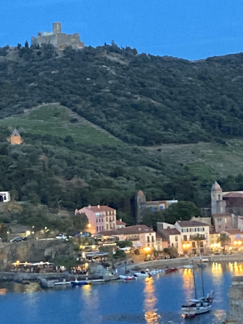 LA TERRASSE, Collioure - photo 27