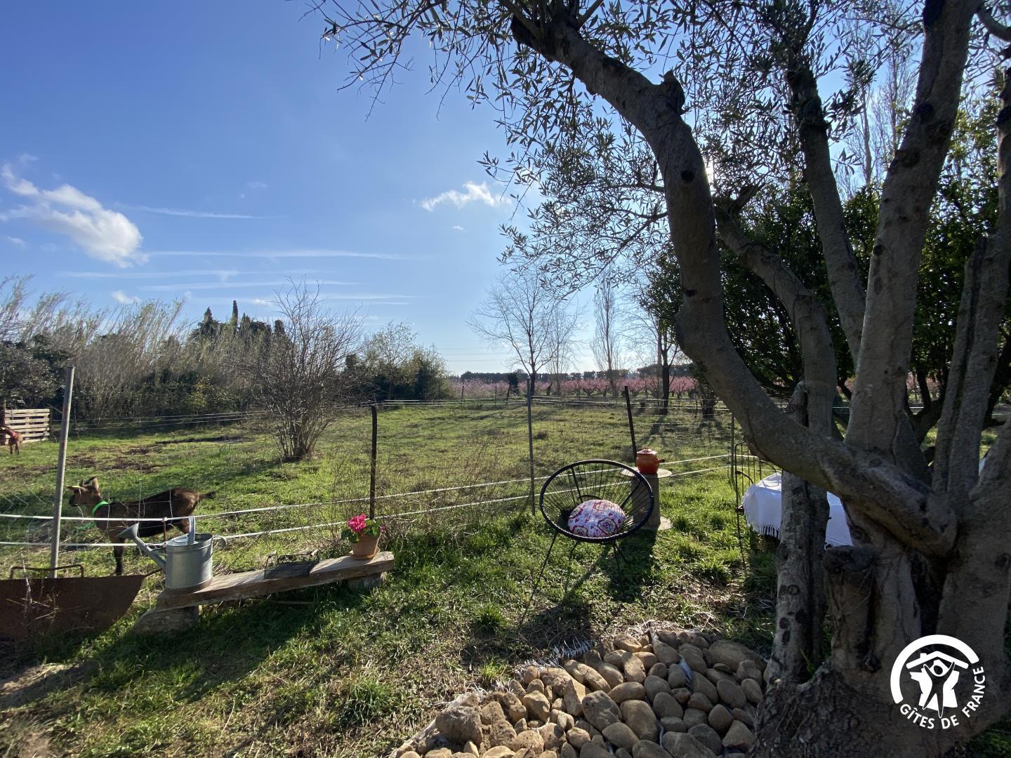 LE MASOT, Corbère - photo 7