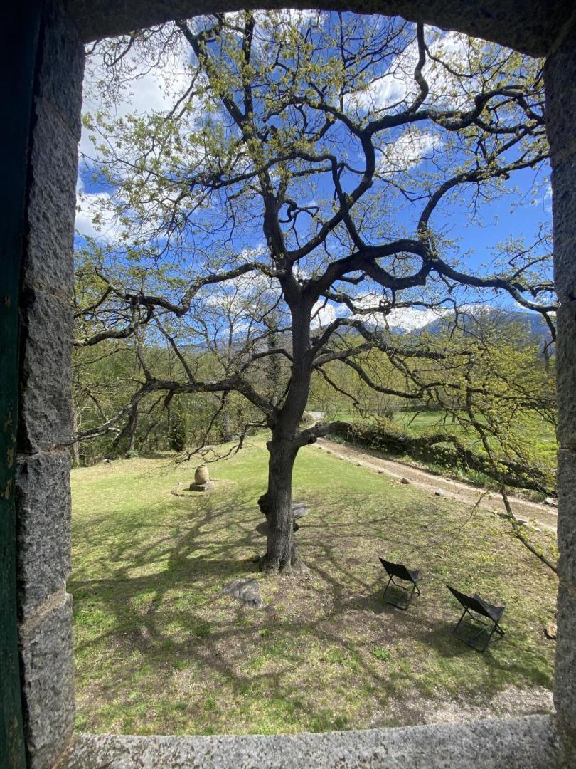 LA POMMERAIE DU CANIGOU, Corneilla-de-Conflent - photo 73